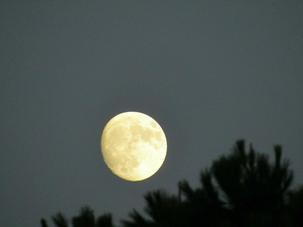 moon.jpg
